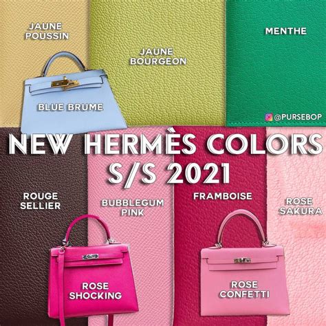 hermes sp|Hermes latest news.